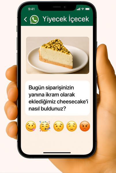 Belediye anketi örneği